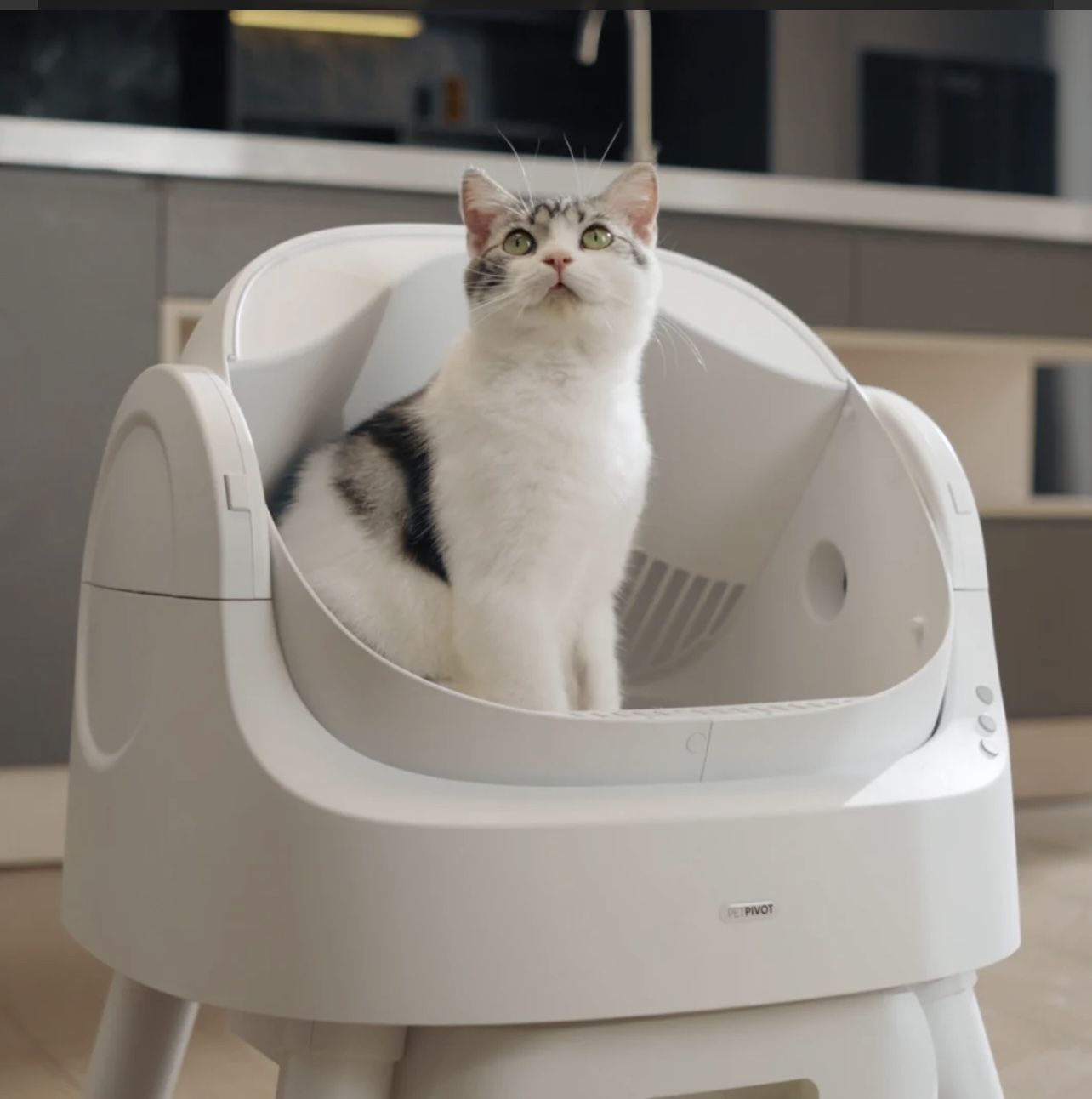 Autoscooper 11 Open-top Self-cleaning Smart Cat Litter Box