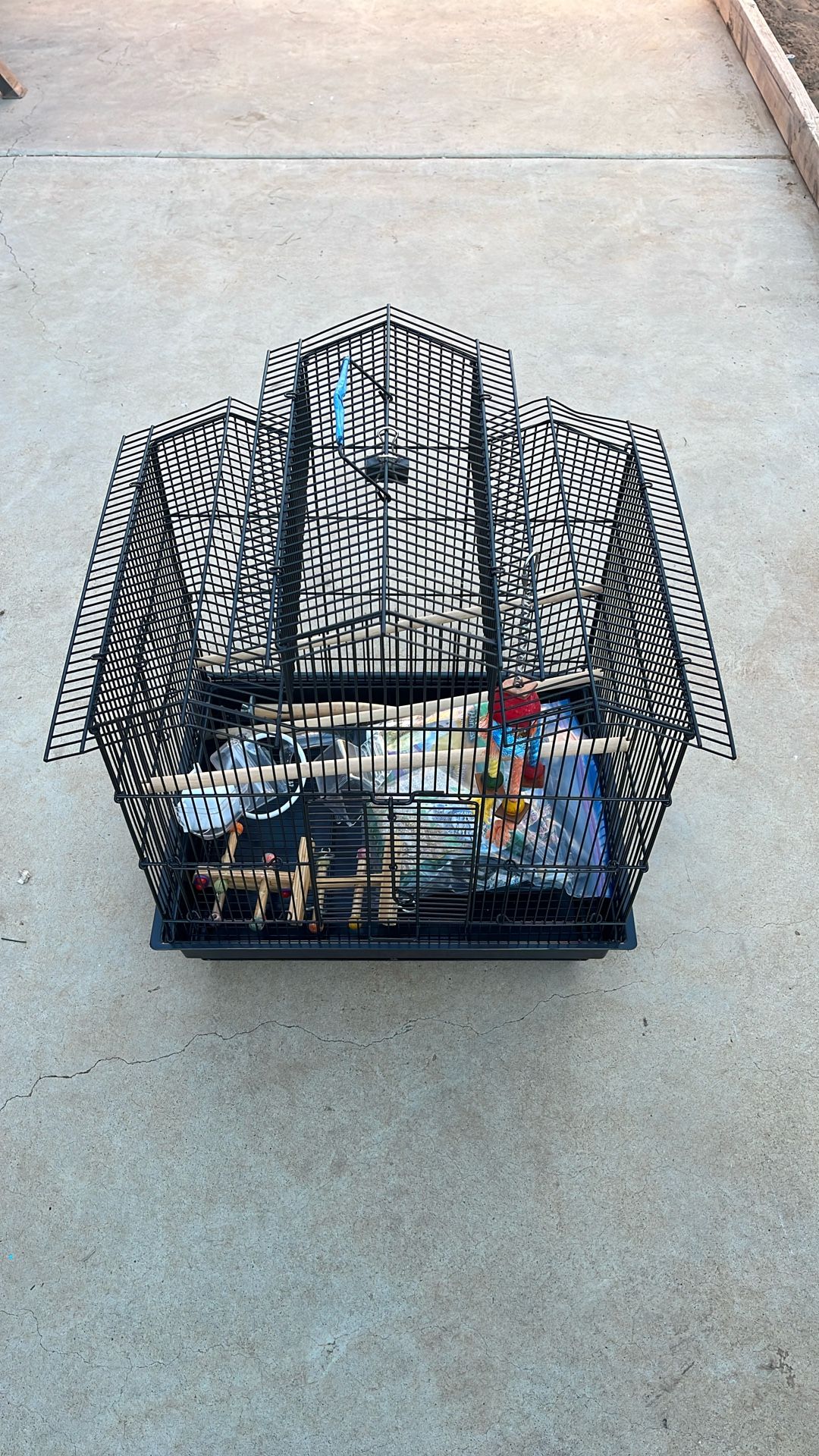 Bird Cage