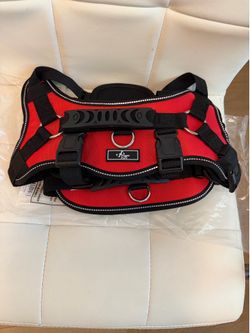 dog harness