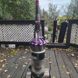 Dyson Absolute 