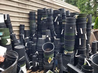 Pots Tones Of Pots