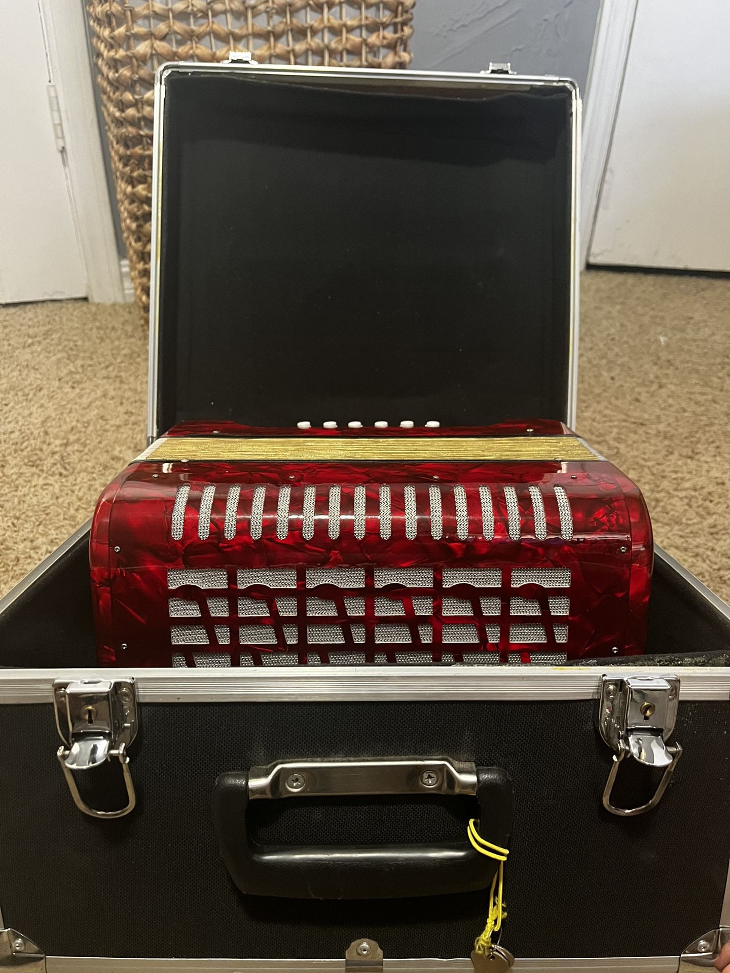 Accordion with case