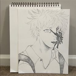Hikaru Anime Sketch Art
