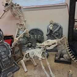 Halloween Decorations 