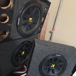 12" Subwoofers