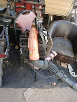 Echo Backpack Blower