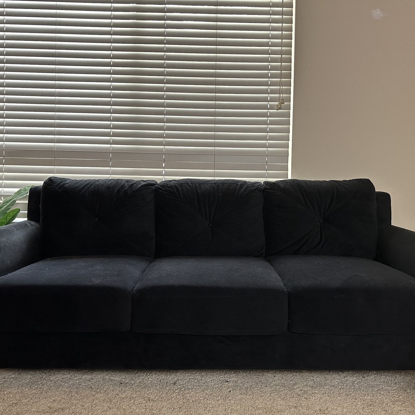 Small Black Couch 