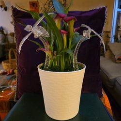 Homemade Hand Blown Glass Collectibles