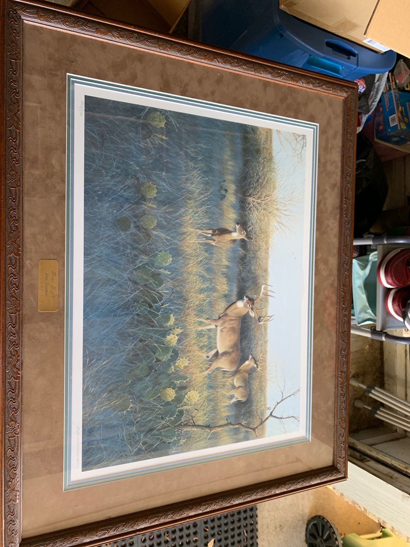 FIRST LIGHT JOHN DEARMAN LIMITED EDITION