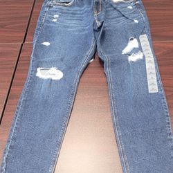 Woman Size 12 Blue Denim Jeans New With Tag