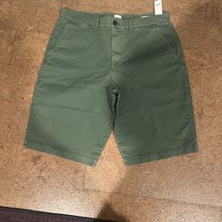 Size 33 Gap Shorts