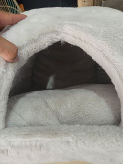Cat /Small dog bed