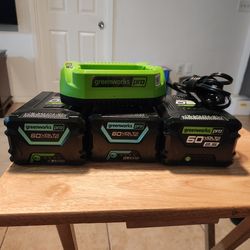 Greenworks 60 volt lithium batteries