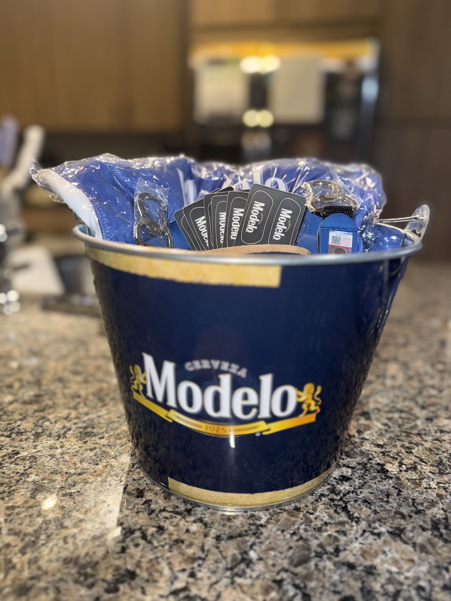 Modelo X Florida Gators game day merch bucket!