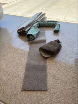 Carpet