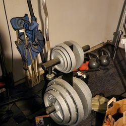 245lbs Of Weights With Weight Tree And Ez Curl Bar