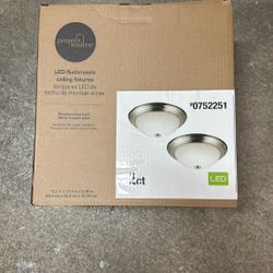 LED Flush mount  Ceiling Fixtures 