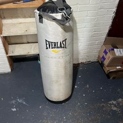 Everlast Boxing Bag