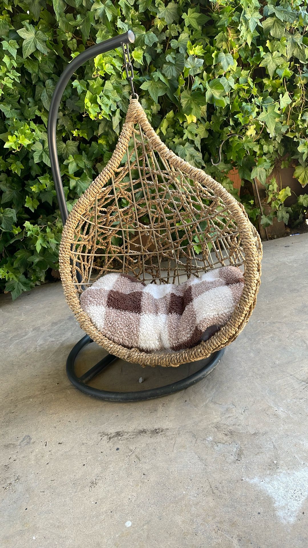 Hanging Egg Cat