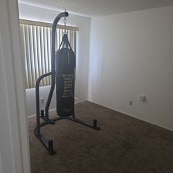 Punching Bag 