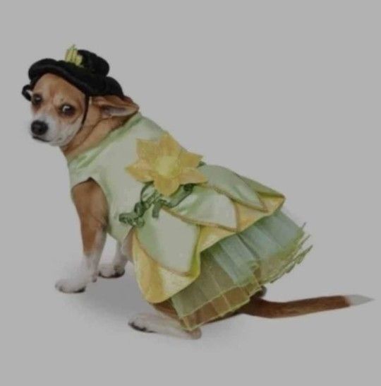 dog costume new , Tiana