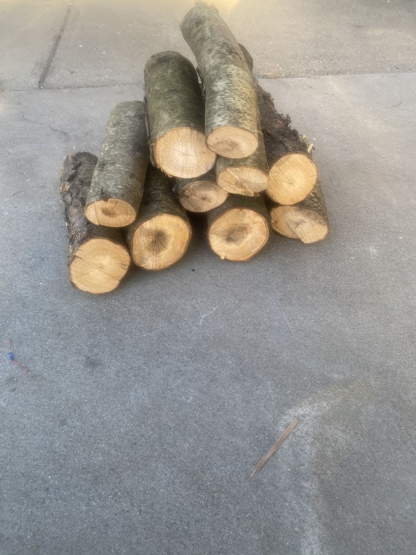 Firewood 