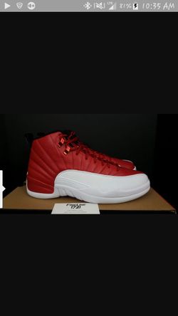 Jordan 12 alternate