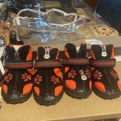 Size 7 dog shoes