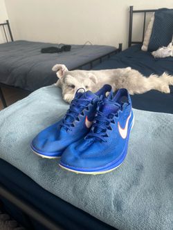 Nike ZoomX Dragonflies