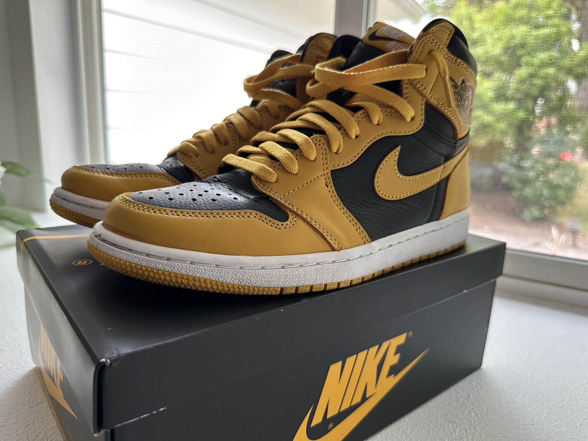 Air Jordan 1 Pollen
