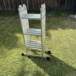 Folding Ladder