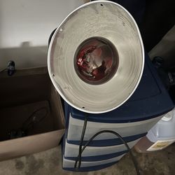 Chicken Coop Heat Bulb With Stand 