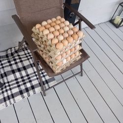 Eggs 