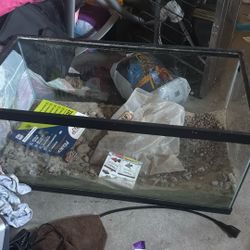 40 Gallon Fish Tank
