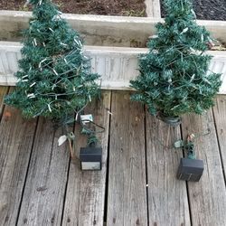 Set of Two Martha Stewart Topiaries with Solar Lights