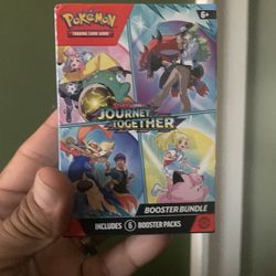 Pokémon journey together