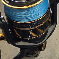 Penn Slammer4 reel/New braid/Quantum Zeal Rod