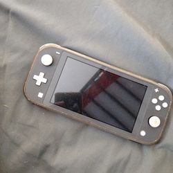 Nintendo switch light