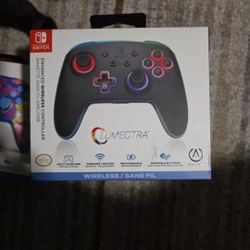 Nintendo Switch Controller