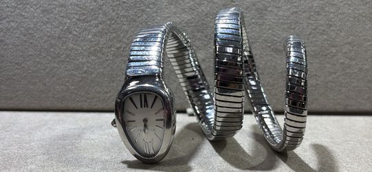Stainless steel serpentine watch