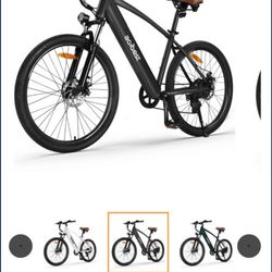 Electric Bike