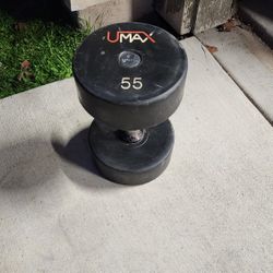 Dumbbell (1 - 55 Pound)