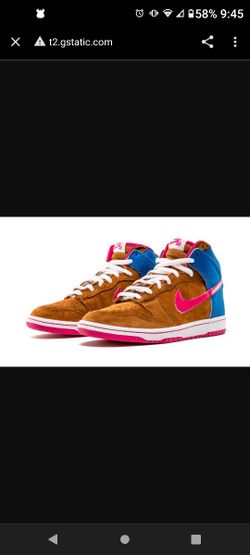 Nike SB Dunk High Mr Todd Bratrud Brown 305050-261 Size12