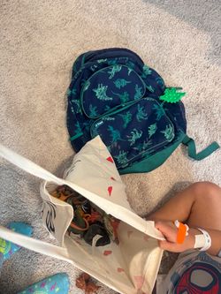 Free backpack and dinosaur toys
