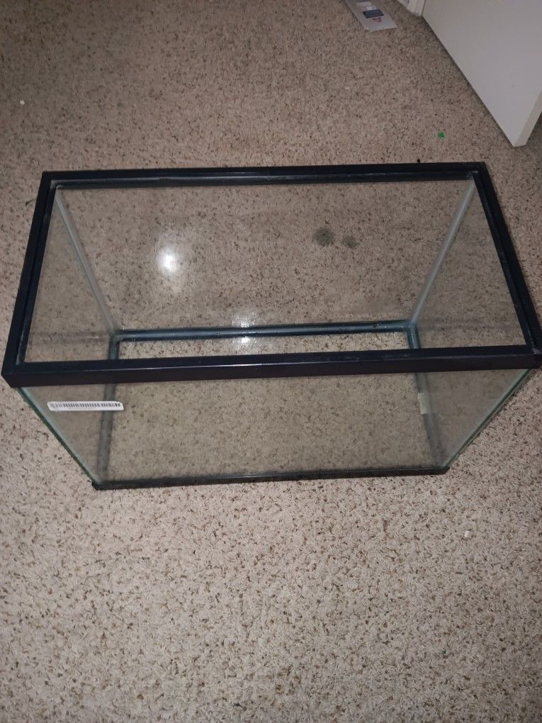 20 gallon tank