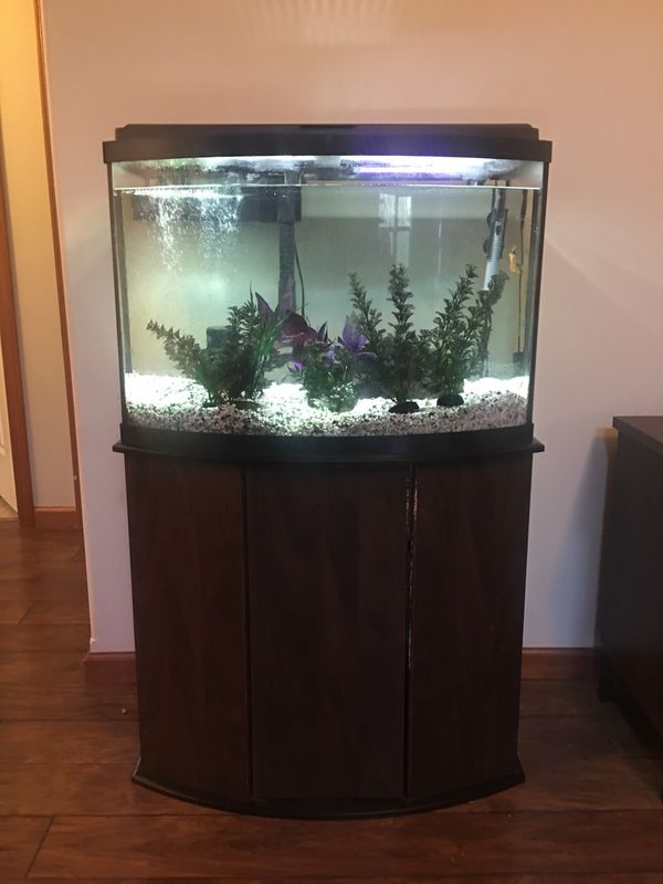 45 gallon Aquarium for Sale in Mount Vernon, WA OfferUp