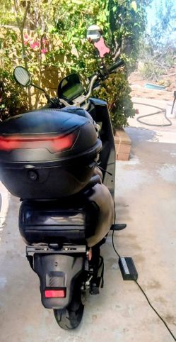 Zebra Electric Moped 