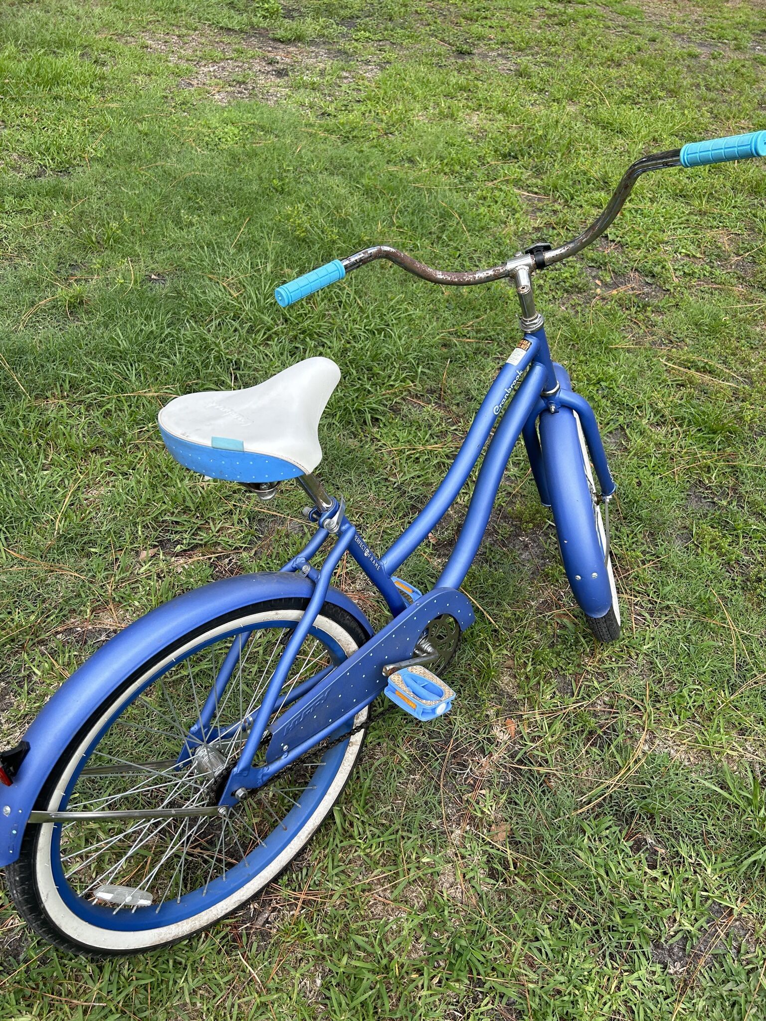 Cruiser Bike for Sale in Lakeland, FL OfferUp