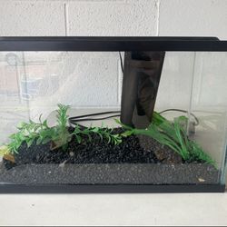 Fish Tank With All The Decor 