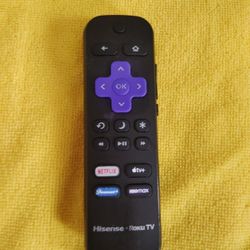  Hisense Roku TV Control